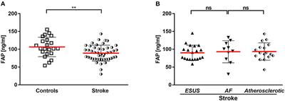 Circulating fibroblast activation protein α is reduced in acute ischemic stroke